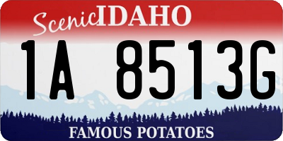 ID license plate 1A8513G