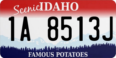 ID license plate 1A8513J