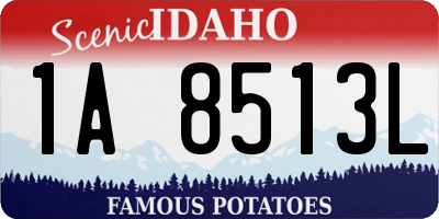ID license plate 1A8513L