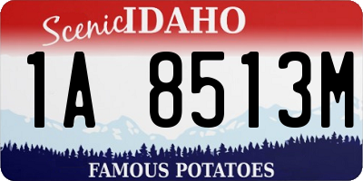 ID license plate 1A8513M