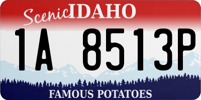 ID license plate 1A8513P