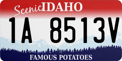 ID license plate 1A8513V