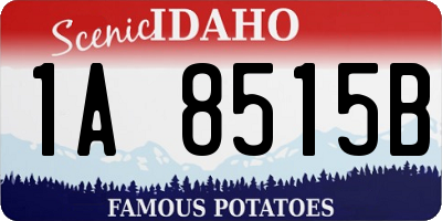ID license plate 1A8515B