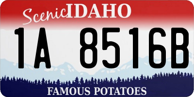 ID license plate 1A8516B