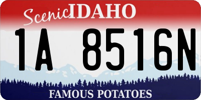 ID license plate 1A8516N