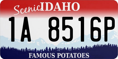 ID license plate 1A8516P