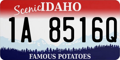 ID license plate 1A8516Q