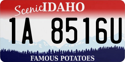 ID license plate 1A8516U