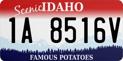 ID license plate 1A8516V