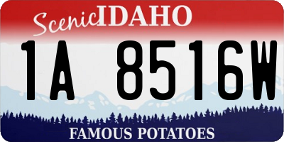 ID license plate 1A8516W