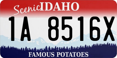 ID license plate 1A8516X