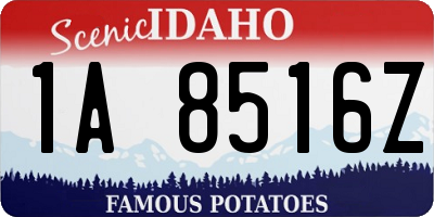 ID license plate 1A8516Z