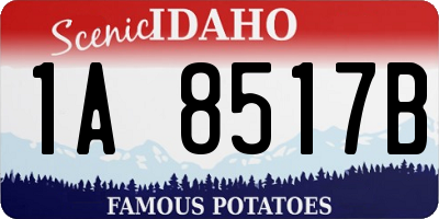 ID license plate 1A8517B