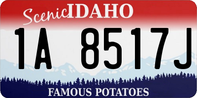 ID license plate 1A8517J