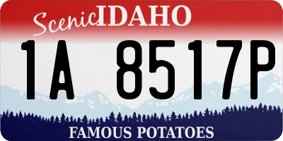 ID license plate 1A8517P