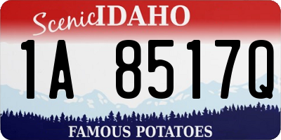 ID license plate 1A8517Q
