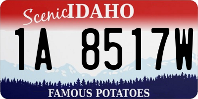 ID license plate 1A8517W