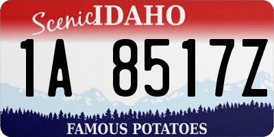ID license plate 1A8517Z