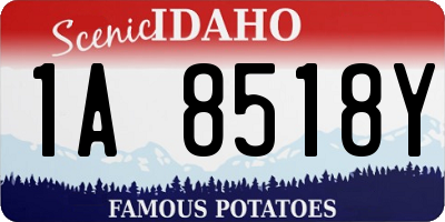 ID license plate 1A8518Y