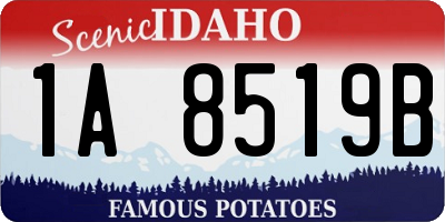 ID license plate 1A8519B