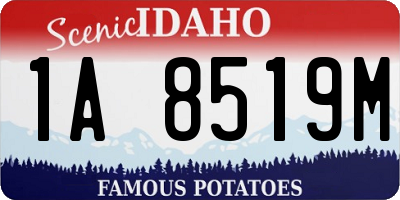 ID license plate 1A8519M