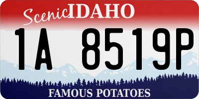 ID license plate 1A8519P