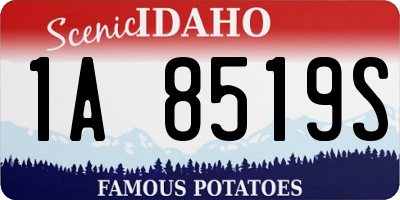 ID license plate 1A8519S