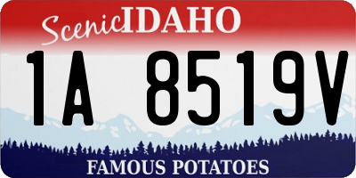 ID license plate 1A8519V