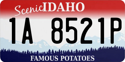 ID license plate 1A8521P