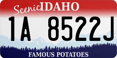 ID license plate 1A8522J