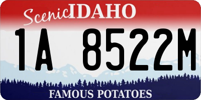 ID license plate 1A8522M