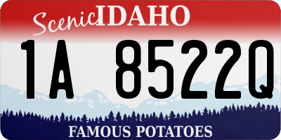 ID license plate 1A8522Q