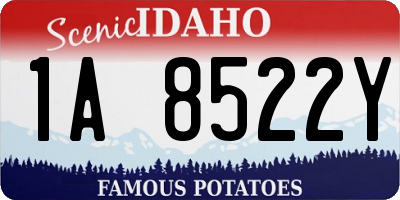 ID license plate 1A8522Y