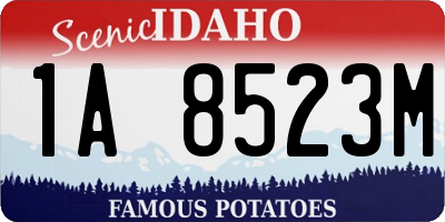 ID license plate 1A8523M