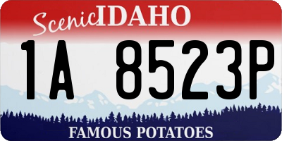 ID license plate 1A8523P