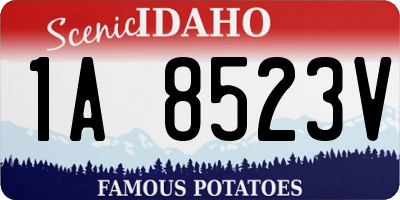 ID license plate 1A8523V