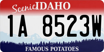 ID license plate 1A8523W