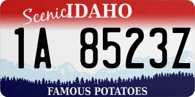 ID license plate 1A8523Z