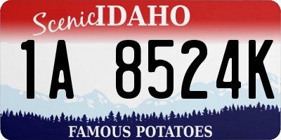 ID license plate 1A8524K