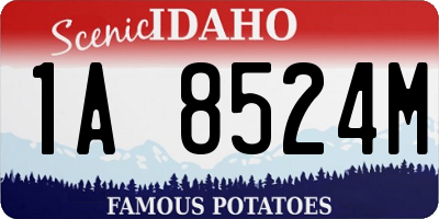 ID license plate 1A8524M