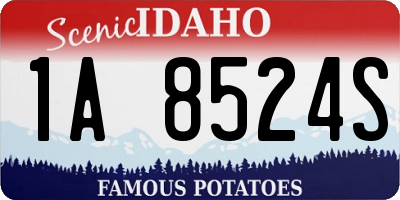 ID license plate 1A8524S