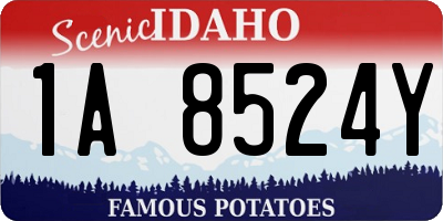 ID license plate 1A8524Y