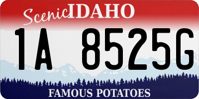 ID license plate 1A8525G