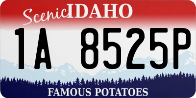 ID license plate 1A8525P