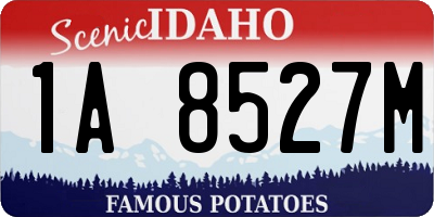 ID license plate 1A8527M