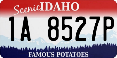 ID license plate 1A8527P