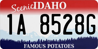 ID license plate 1A8528G