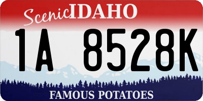 ID license plate 1A8528K