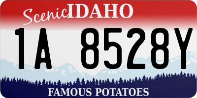ID license plate 1A8528Y