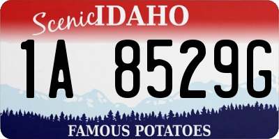 ID license plate 1A8529G